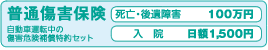 普通傷害保険（自動車運転中）＋お見舞い補償（災害と盗難に関するお見舞い）